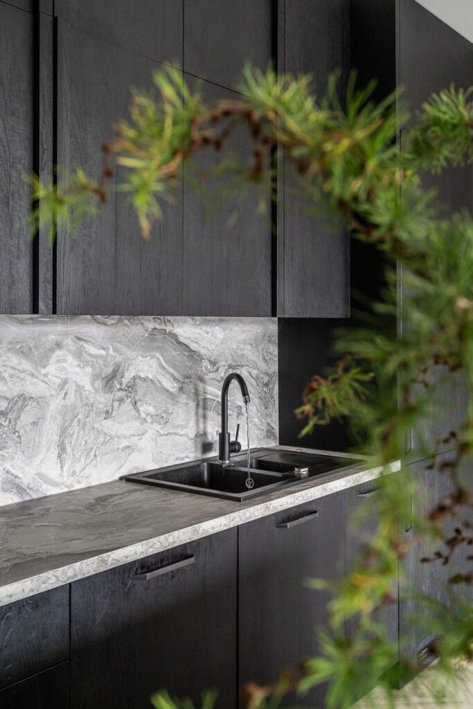 07_virtuves_sinteles_tamsus_medis_stalviris_pilkas_juoda_plautuve